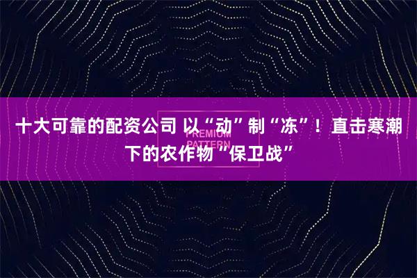 十大可靠的配资公司 以“动”制“冻”！直击寒潮下的农作物“保卫战”